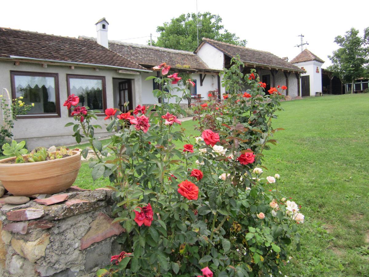 Guest House Vila Albedo Varna Exteriör bild