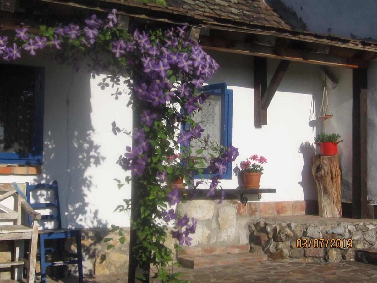 Guest House Vila Albedo Varna Exteriör bild